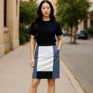 Narciso Rodriguez Straight & Pencil Skirt Women's 12 Multicolor Colorblock Lined